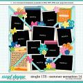 Cindy's Layered Templates - Single 173: Summer Sensation 14 by Cindy Schneider