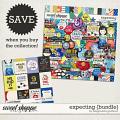 Expecting {Bundle} by Blagovesta Gosheva