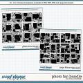 Cindy's Layered Templates - Photo Fun Bundle by Cindy Schneider