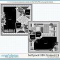 Cindy's Layered Templates - Half Pack 229: Framed 19  by Cindy Schneider
