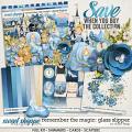 Remember the Magic: GLASS SLIPPER- COLLECTION & *FWP* by Studio Flergs
