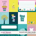Brand New Day Cards by Kelly Bangs Creative Brand New Day Cards by Kelly Bangs Creative