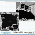 Cindy's Layered Templates - Half Pack 231: Photo Focus 97 by Cindy Schneider
