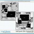 Cindy's Layered Templates - Half Pack 234: Framed 22 by Cindy Schneider