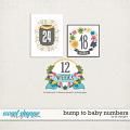 Bump To Baby Numbers by LJS Designs 