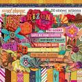 50 States: Arizona by Kelly Bangs Creative 50 States: Arizona by Kelly Bangs Creative