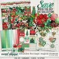 Remember the Magic: MAGICAL CHRISTMAS- COLLECTION & *FWP* by Studio Flergs