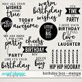 Birthday Boy | Stamps by Digital Scrapbook Ingredients Birthday Boy | Stamps by Digital Scrapbook Ingredients