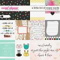 A Little Bit Of Crazy Cards by Studio Basic