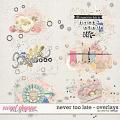 Never Too Late - Overlays by Red Ivy Design
