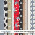Cozy Winter - Bonus Papers by Red Ivy Design