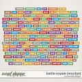 Battle Royale Wordys by Ponytails