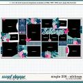 Cindy's Layered Templates - Single 208: Siblings by Cindy Schneider