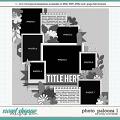 Cindy's Layered Templates - Photo Palooza 1 by Cindy Schneider