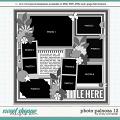 Cindy's Layered Templates - Photo Palooza 12 by Cindy Schneider Cindy's Layered Templates - Photo Palooza 12 by Cindy Schneider