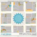 2020 Photo Focus: March by LJS Designs