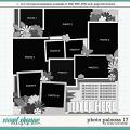Cindy's Layered Templates - Photo Palooza 17 by Cindy Schneider