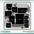 Cindy's Layered Templates - Photo Palooza 20 by Cindy Schneider