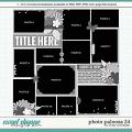 Cindy's Layered Templates - Photo Palooza 24 by Cindy Schneider