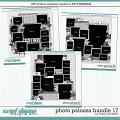 Cindy's Layered Templates - Photo Palooza Bundle 17 by Cindy Schneider