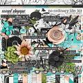 No Ordinary Life: Kit by River Rose Designs 