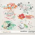 Sunshine - Overlays by Red Ivy Design