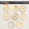 CU Mix 170 - wood slices by WendyP Designs