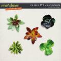 CU Mix 179 - succulents by WendyP Designs