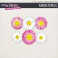 Daisies {Vol 01} by Christine Mortimer