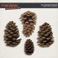 CU Pinecones by Clever Monkey Graphics