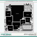 Cindy's Layered Templates - Photo Palooza 101 by Cindy Schneider
