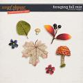 Foraging Fall Mix - CU - by Brook Magee 