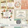 Shades of Autumn Pocket Cards by Ponytails