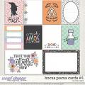 Hocus Pocus Journal Cards #1 by Traci Reed