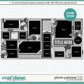 Cindy's Layered Templates - Photo Palooza 111 by Cindy Schneider