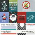 Gno-vid - Cards 1 by WendyP Designs Gno-vid - Cards 1 by WendyP Designs