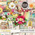 bright side bundle: simple pleasure designs by jennifer fehr 