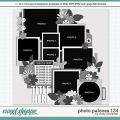 Cindy's Layered Templates - Photo Palooza 124 by Cindy Schneider