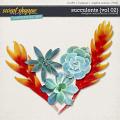 Succulents {Vol 02} by Christine Mortimer