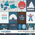 Arctic Adventure Cards by Clever Monkey Graphics 