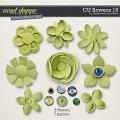 CU Flowers 16 by Blagovesta Gosheva