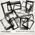 NEGATIVE FILM STRIP | STAMPS by The Nifty Pixel