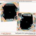 Cindy's Layered Templates - Half Pack 312: Photo Focus 115 by Cindy Schneider