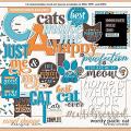 Cindy's Wordy Pack: Cat by Cindy Schneider