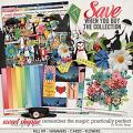 Remember the Magic: PRACTICALLY PERFECT- COLLECTION & *FWP* by Studio Flergs