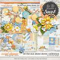Let the Sun Shine Down: Collection + FWP by River Rose Designs