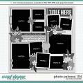 Cindy's Layered Templates - Photo Palooza 154 by Cindy Schneider