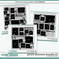 Cindy's Layered Templates - Photo Palooza Bundle 51 by Cindy Schneider