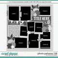 Cindy's Layered Templates - Photo Palooza 155 by Cindy Schneider