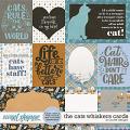 The Cats Whiskers Cards by JoCee Designs